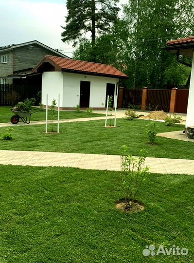 Рулонный газон