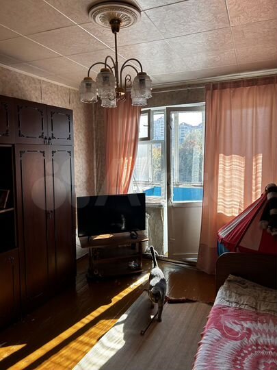 1-к. квартира, 33,9 м², 5/5 эт.