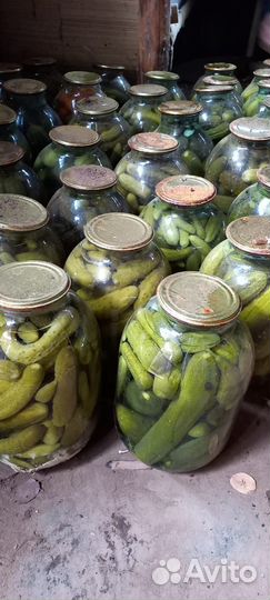 Огурцы маринованные