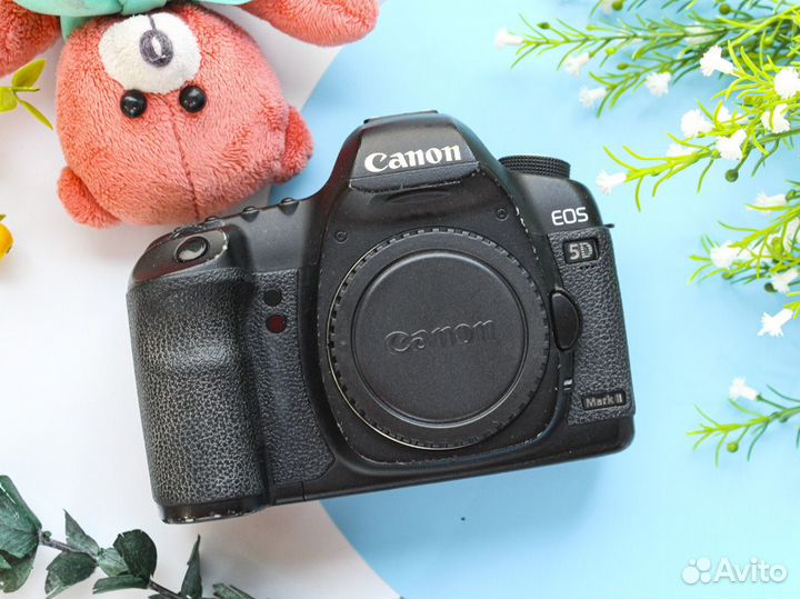Фотоаппарат Canon 5D mark ll body