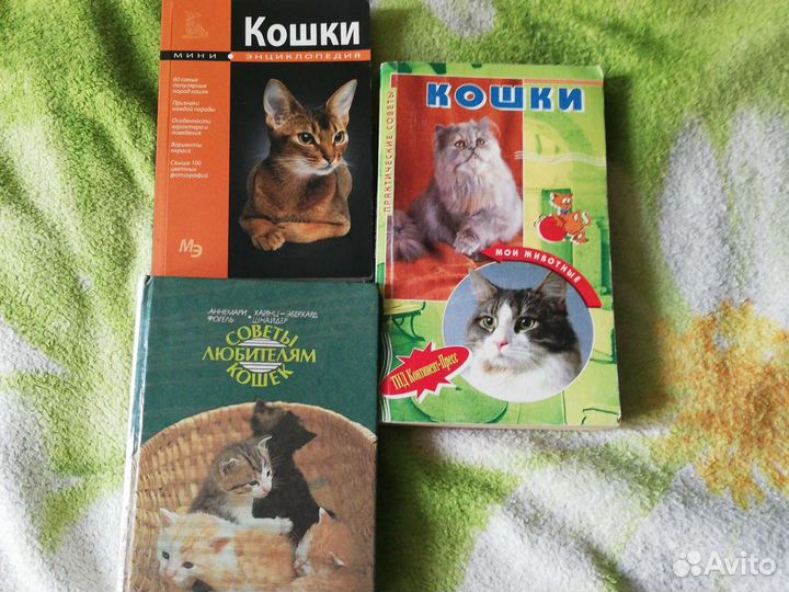 Книга, Кошки