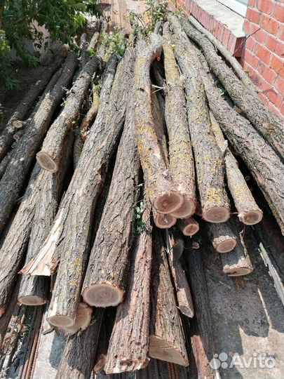 Столбики акации