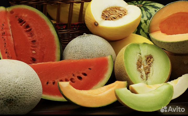 Продаю семена Арбуза и Дыни