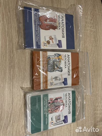 Карточки по анатомии