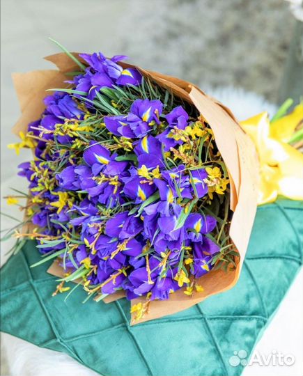 Ирисы. Цветы с Доставкой/Ирис/Букеты