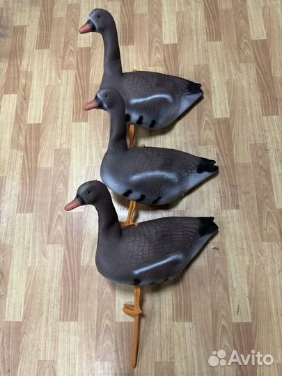 Чучела гусей 8штук
