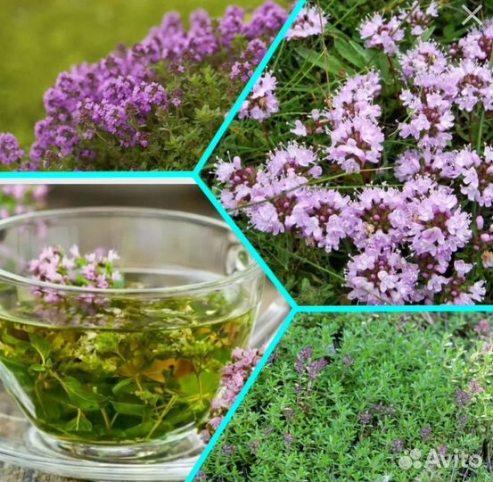 Товары для кухни