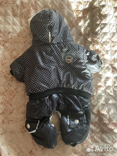 Зимний комбинезон для собак мелких пород