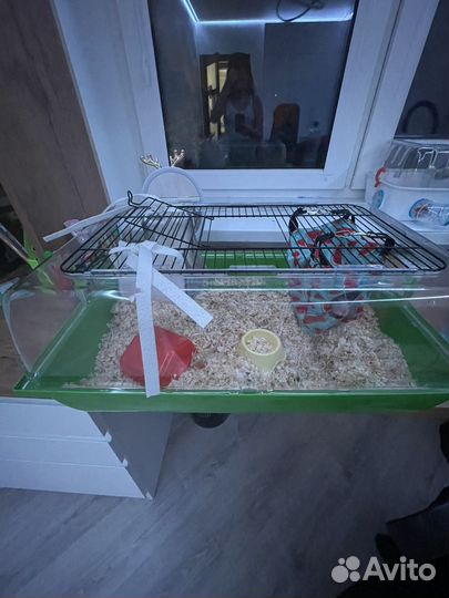 Клетка для грызунов