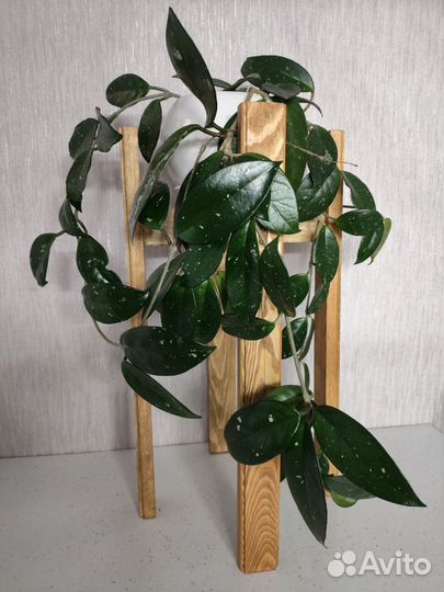 Подставка-колесо для цветов и комнатных растений