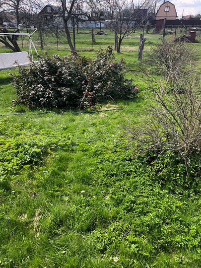 Участок 11 сот. (ИЖС)