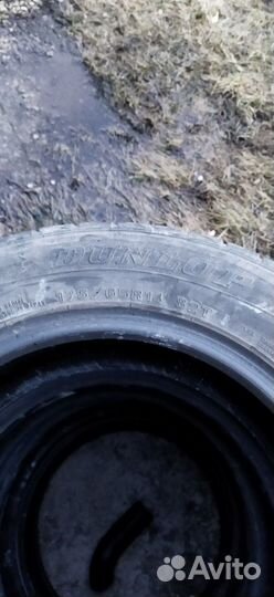 Dunlop Winter Maxx 175/65 R14 82T