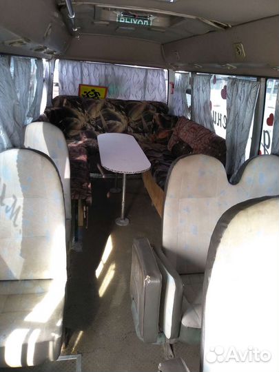 Голд дракон