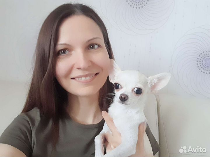 Передержка животных/собак/кошек, зооняня, присмотр