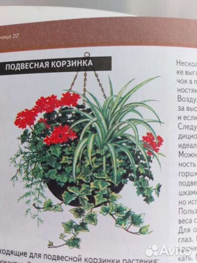 Всё о комнатных растениях. Хессайон Д.Г