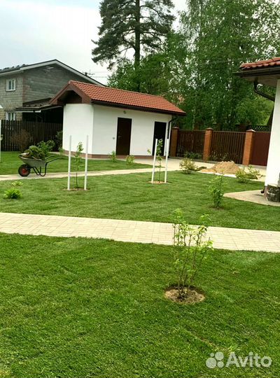 Рулонный газон