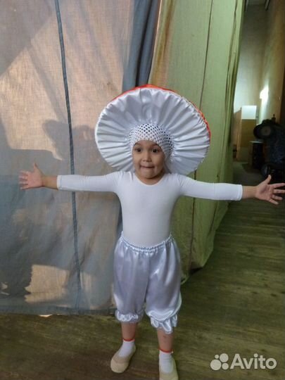 Костюмы лиса,белка,Крас шап,Русский,гриб,пчела