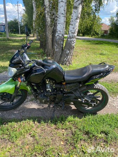 Рейсер нитро 250