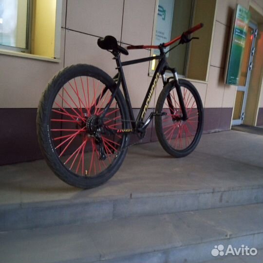 Forward sporting xx29d 2.0 disc