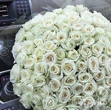 Длинные высокие розы 150 см