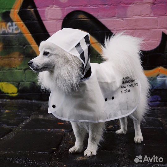 Off-white куртка дождевик для собак dior