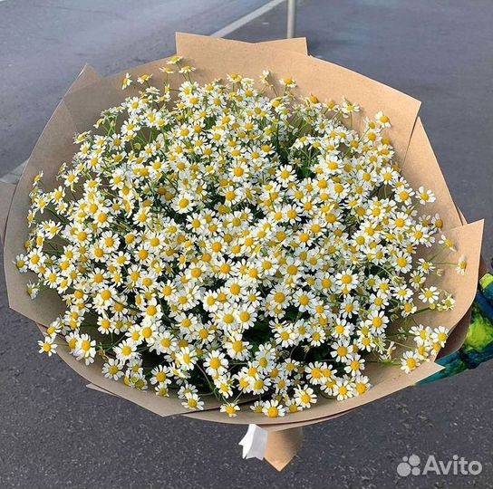 Букеты. Доставка ромашек