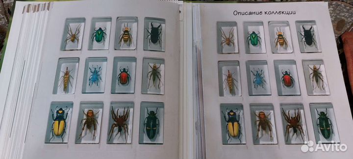 Коллекция насекомых от Deagostini 2010-2011
