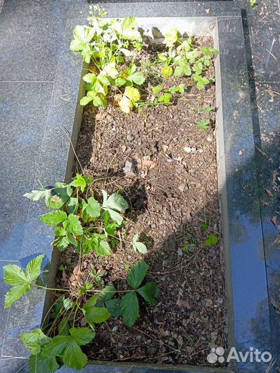 Сетка декоративная в цветник на могилу