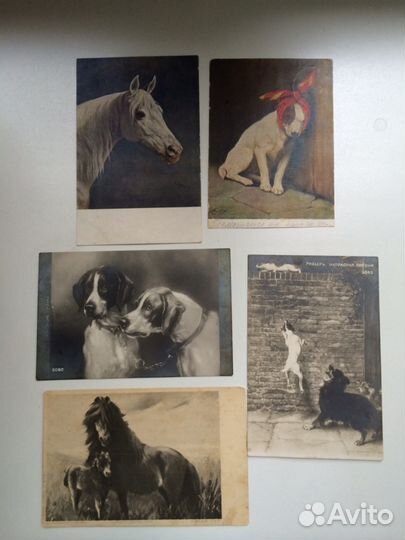 Старинные открытки