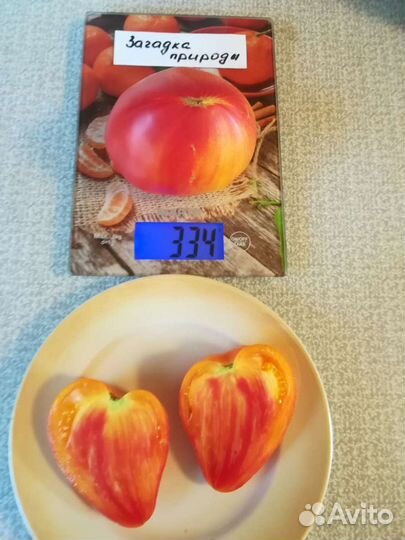 Семена томатов коллекционные урожайный сорта