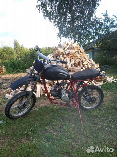 Неубиваемая Альфа