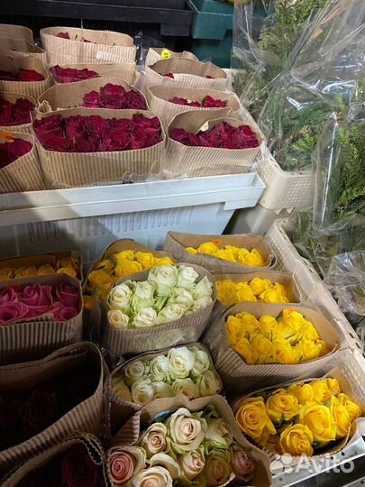 Цветы Оптом