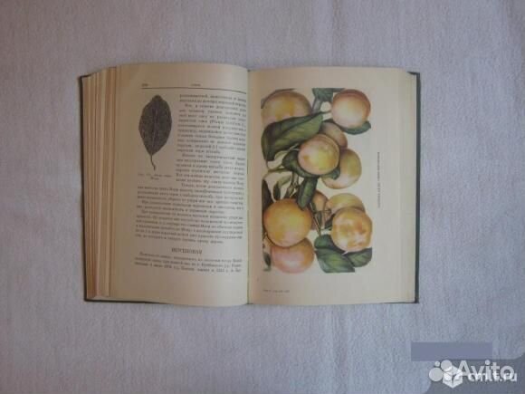 Мичурин И.В. собрание сочинений в 4х томах 1948 г