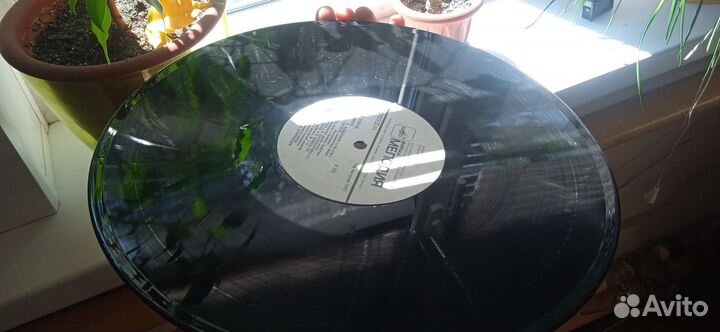 Редкая пластинка скупой