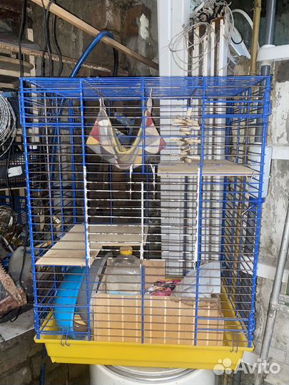 Клетка для грызунов большая
