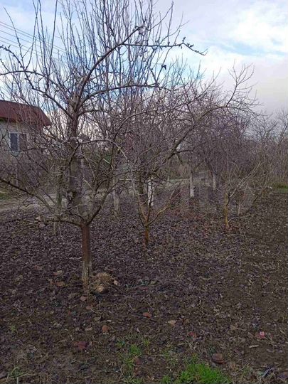 Участок 5 сот. (СНТ, ДНП)