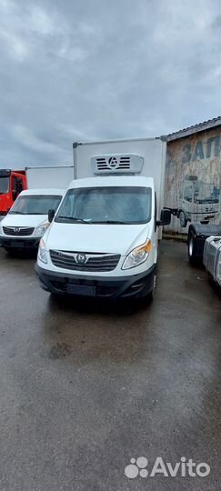 Sollers Atlant, 2024