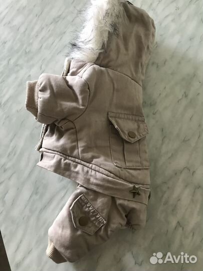 Комбинезон для маленькой собачки