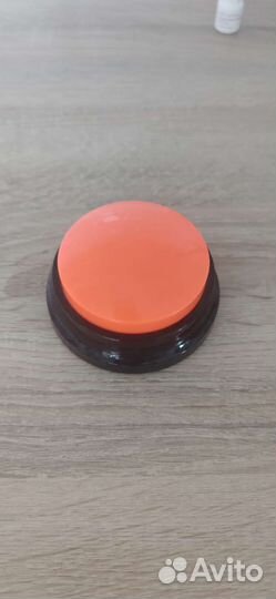 Дрессировка собак