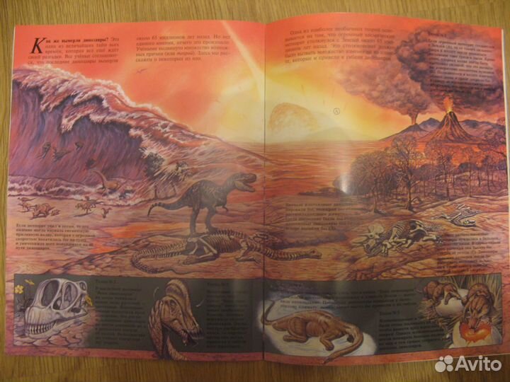 Мир животных. Динозавры