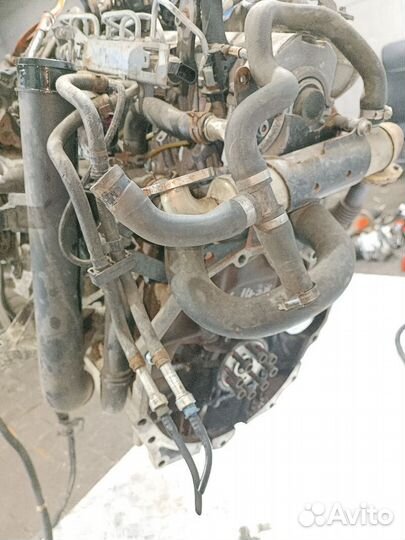 Двигатель BJK Volkswagen Crafter (2006-2011)