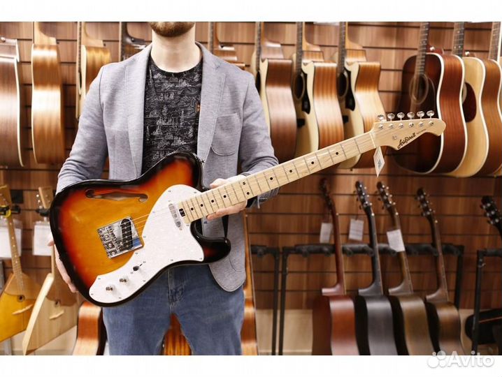 Aria TEG-TL 3TS - электрогитара телекастер с эфами