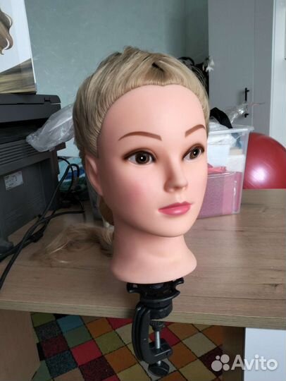 Учебная голова