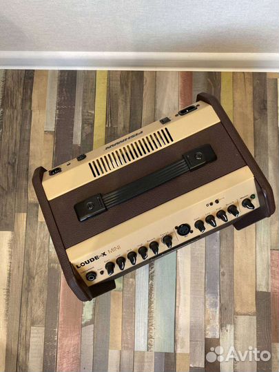 Акустический комбоусилитель Fishman Loudbox Mini