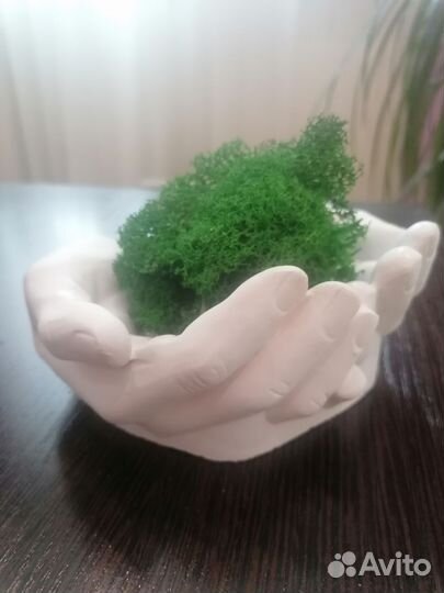 Руки Давида