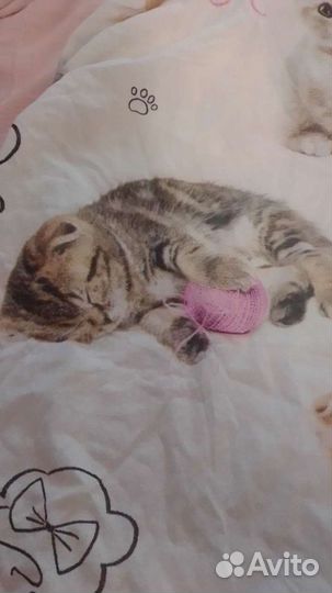 Простыня натяжная и одеяло детское