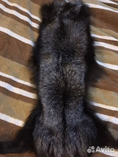 Шкурка чернобурой лисы