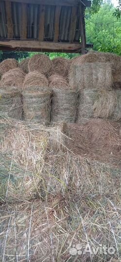 Сено в маленьких рулонах