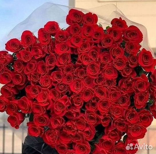 Высокие Розы Гиганты Доставка Круглосуточно