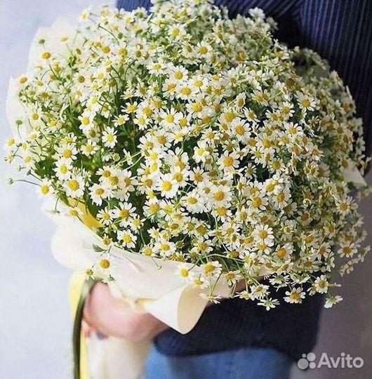 Букеты ромашек